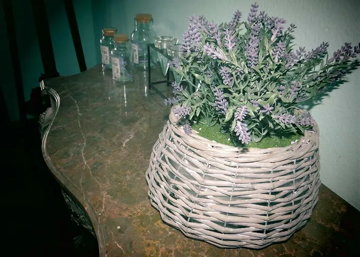 Casa Sao Joao * Sao Joao da Serra